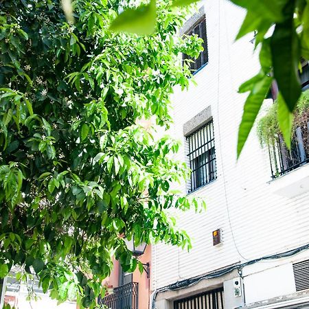 Alohamundi Cruz Verde Seville Luaran gambar