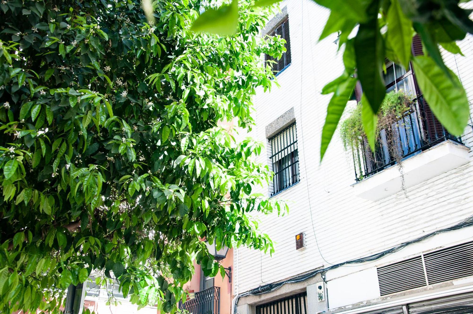 Alohamundi Cruz Verde Seville Luaran gambar